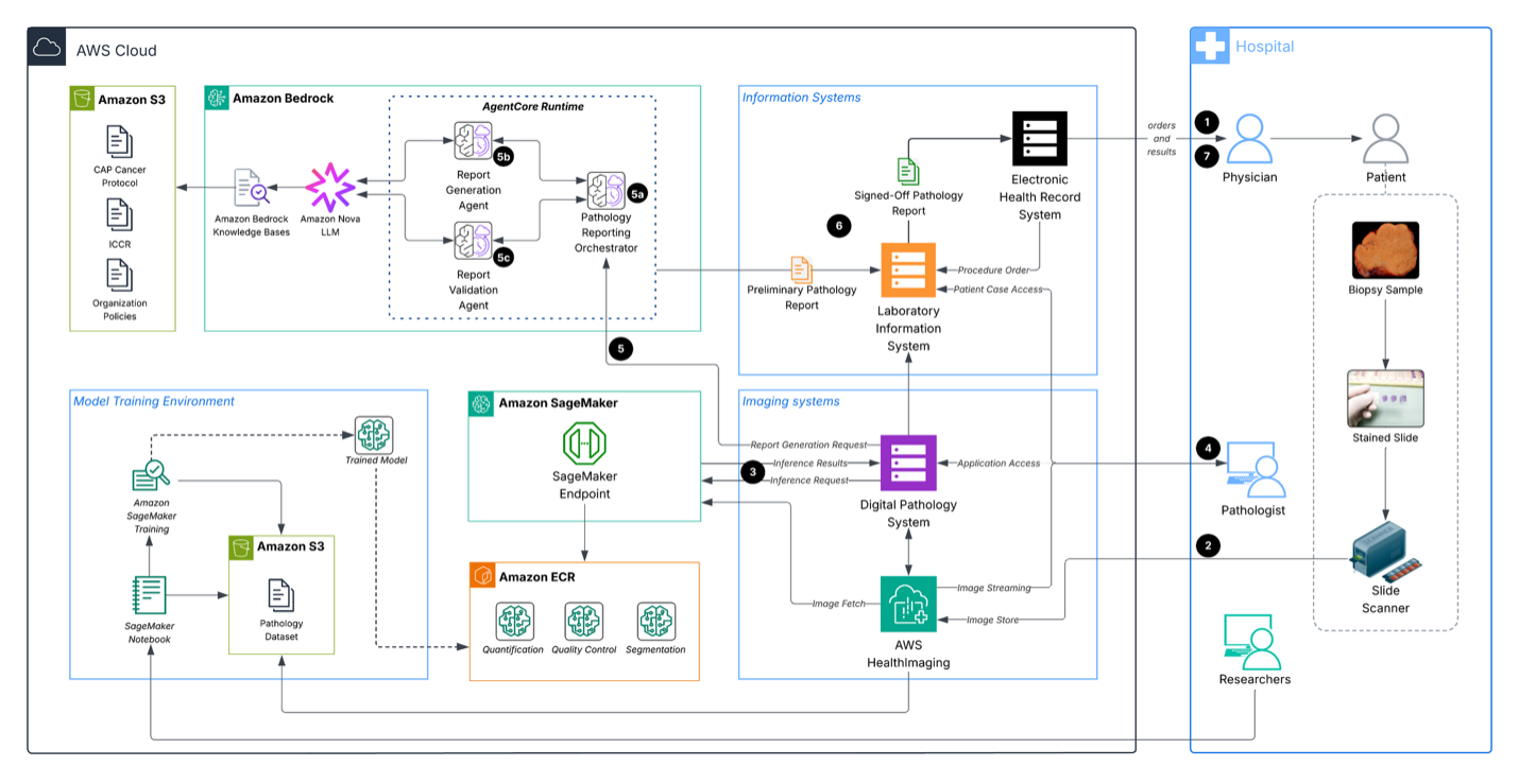 Official AWS digital pathology architecture showing HealthImaging, SageMaker endpoints and training, Bedrock agents, pathology systems, and human review.